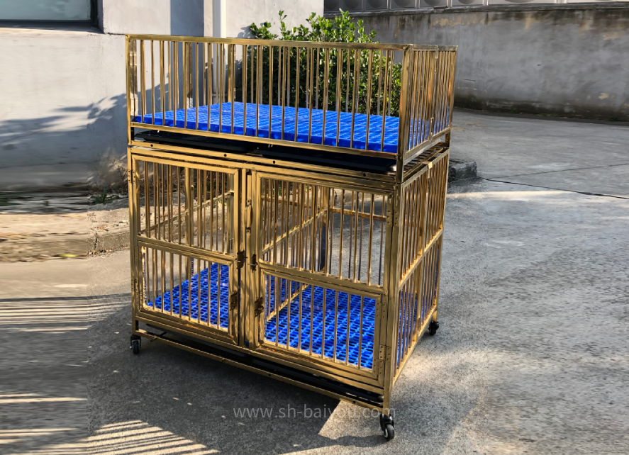 Walk In Dog Kennel