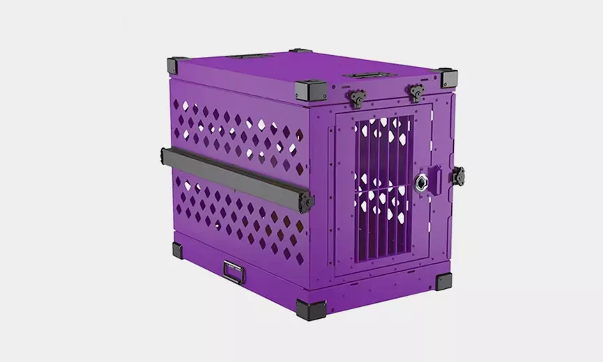 Safety Solution For Highly Anxious Dogs